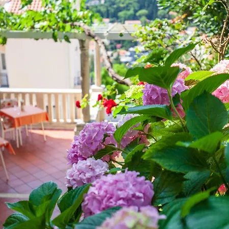 Ivana Apartment